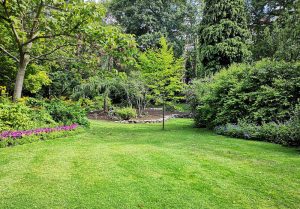 Optimiser l'expérience du jardin à Vahl-les-Faulquemont
